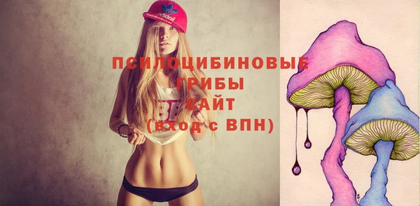 сатива Волосово