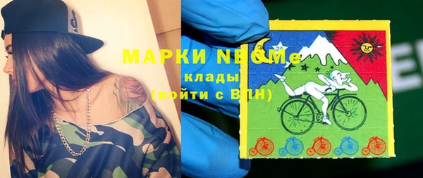 сатива Волосово