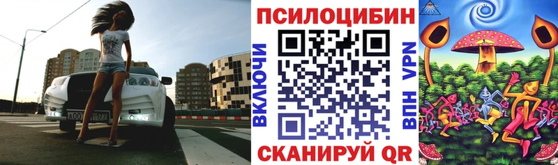 Галлюциногенные грибы Psilocybine cubensis Купить где Мураши